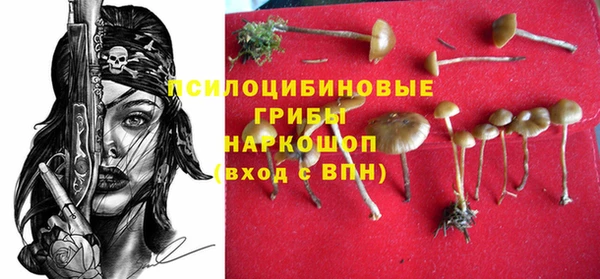 бошки Баксан