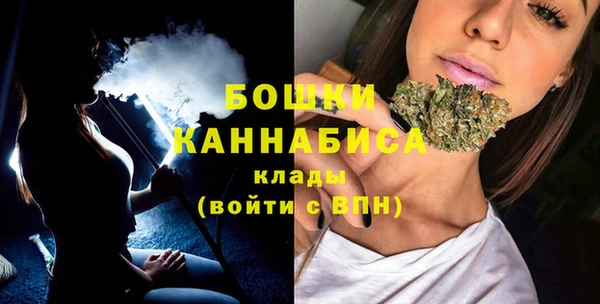 Альфа ПВП Белокуриха